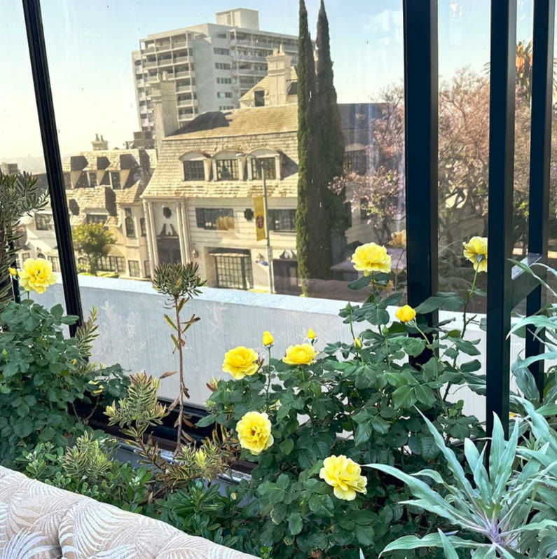 Rooftop terrace with yellow roses overlooking the city