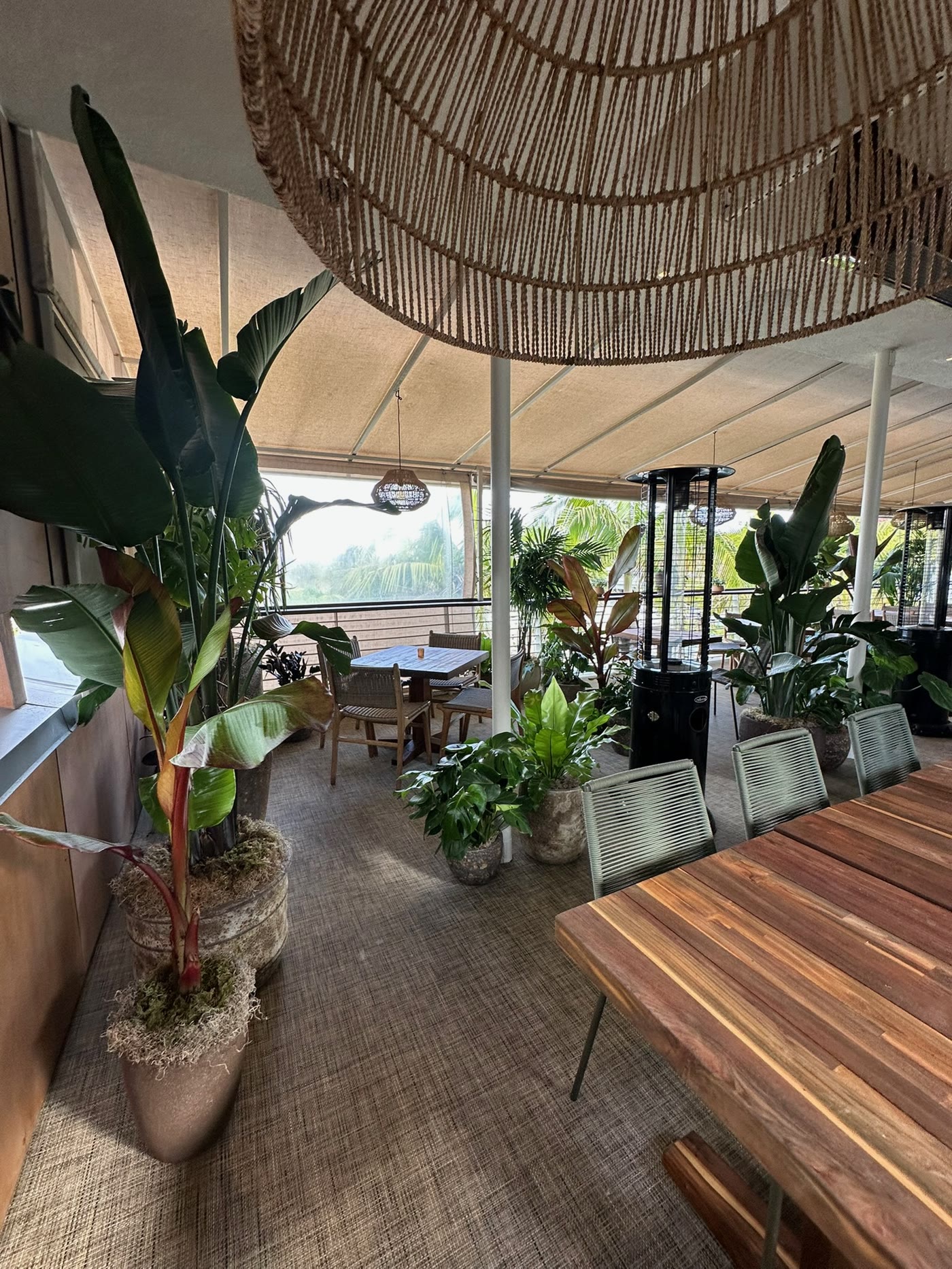 The planted terrace above the boardwalk deck